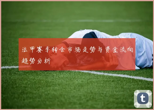 法甲赛季转会市场走势与资金流向趋势分析